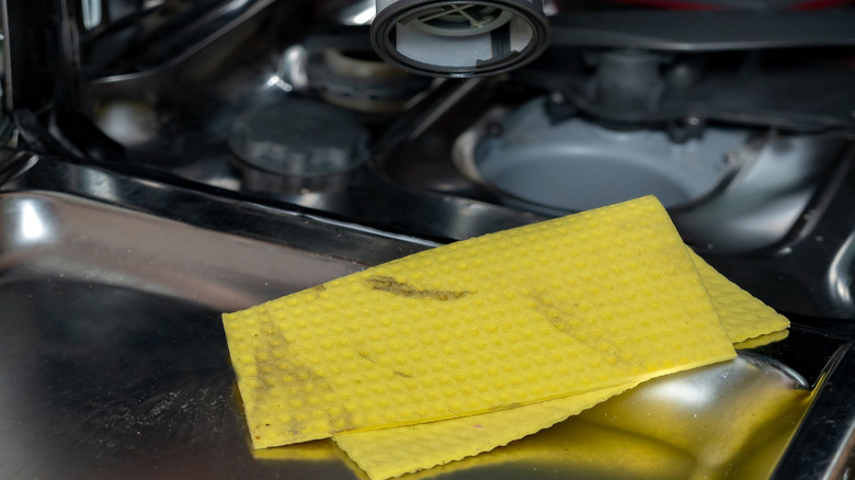 Homeowner removing the dishwasher filter from the machine to clean it