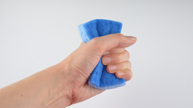 Person holding clean kitchen sponge