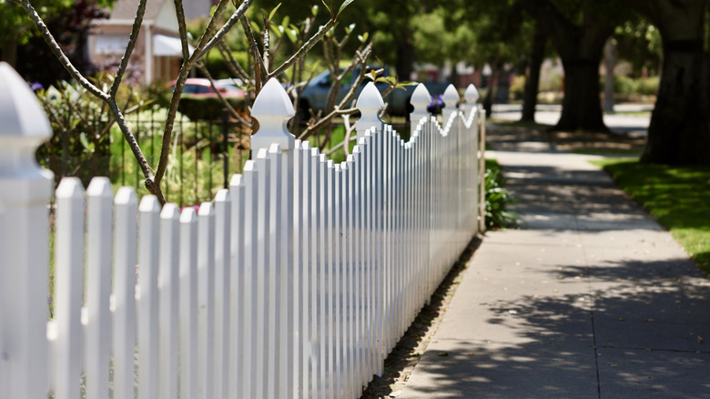 A crisp white picket fence with a curved top and decorative posts running along a sidewalk in a neighborhood