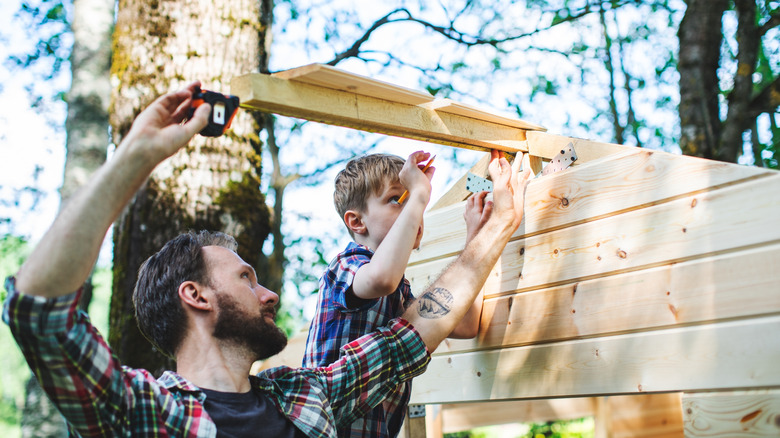 A father and son building DIY treehouse