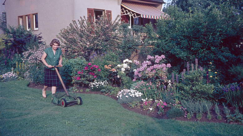 A photo from the 1960s of a woman mowing the lawn in her garden