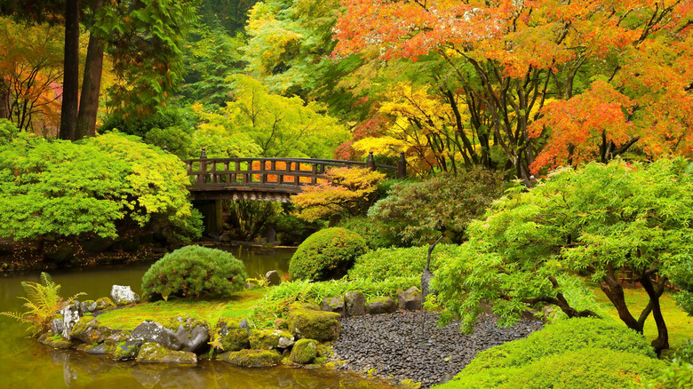 A Japanese garden in Oregon