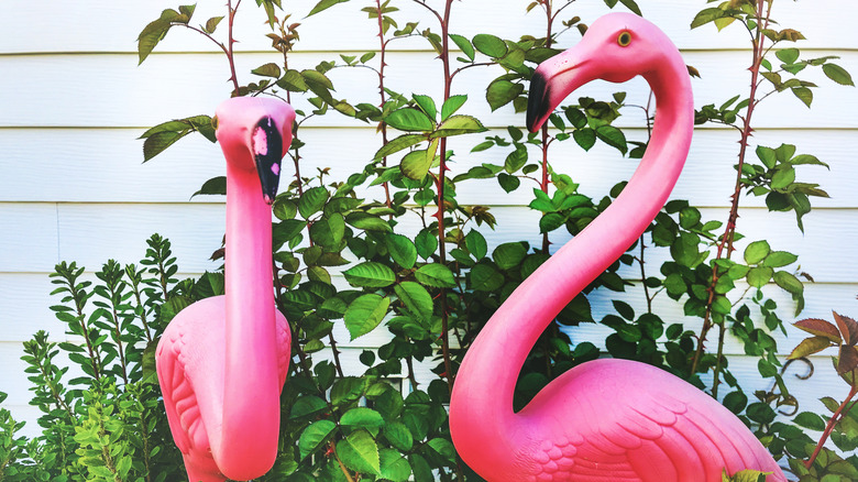 Plastic flamingos in yard