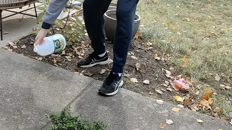 A person pours vinegar from a bottle onto a concrete driveway.