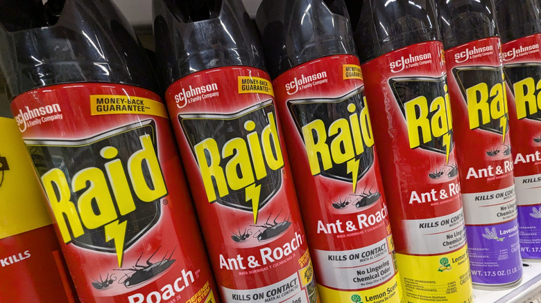 Raid ant and roach insect spray on a store shelf