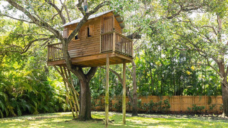 wooden treehouse with balcony