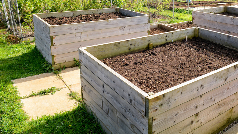 Empty raised garden beds in a garden