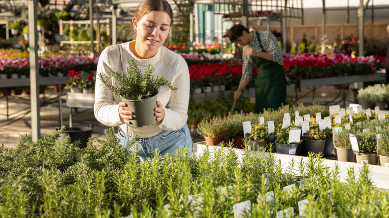 Woman examining a plant at the garden center