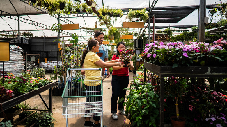 A garden center staff member helping two women buy plants as they pick up and inspect a plant
