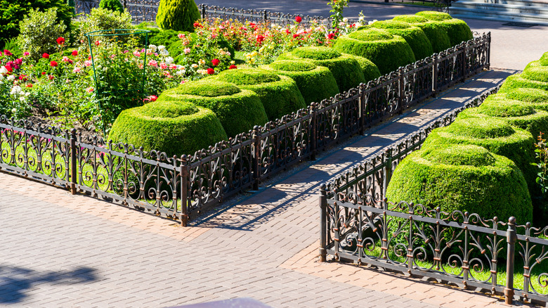 Formal gardens edged with ornate metal fencing.
