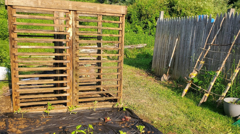 A garden trellis and greenhouse made from recycled deck railings.