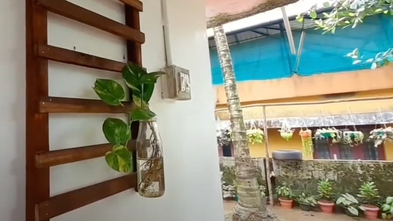 Plants hang from a section of deck railing attached to the wall in a patio.