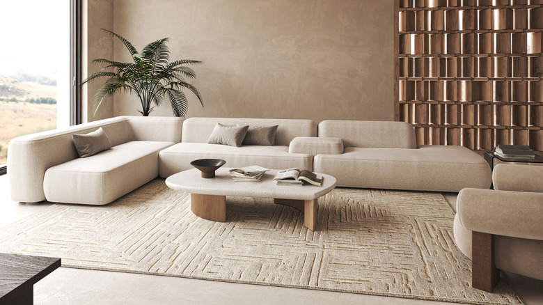 Modern living room with low slung furniture