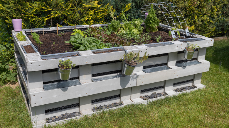 Raised garden made of pallets