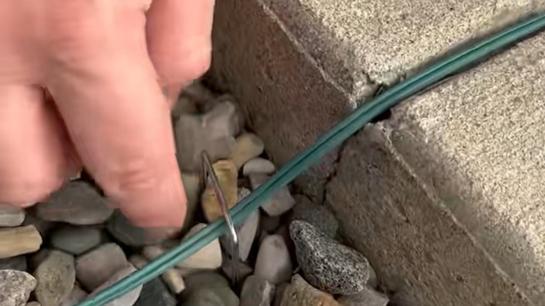 Hand inserting landscape staples over a strand of light