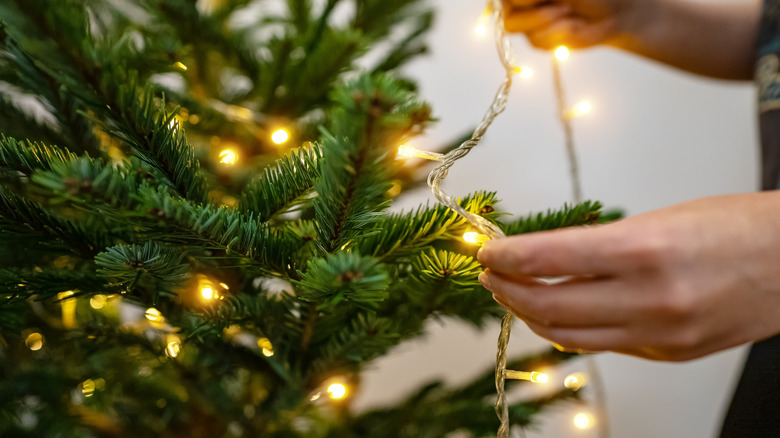 Hand stringing a strand of lights on a Christmas tree