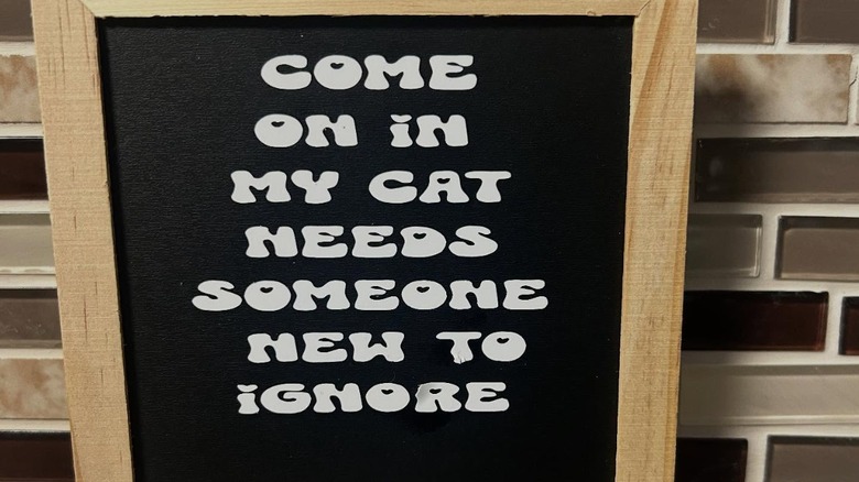 Funny cat owner sign with a black background