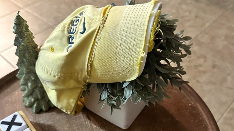 A yellow cap on a small potted plant