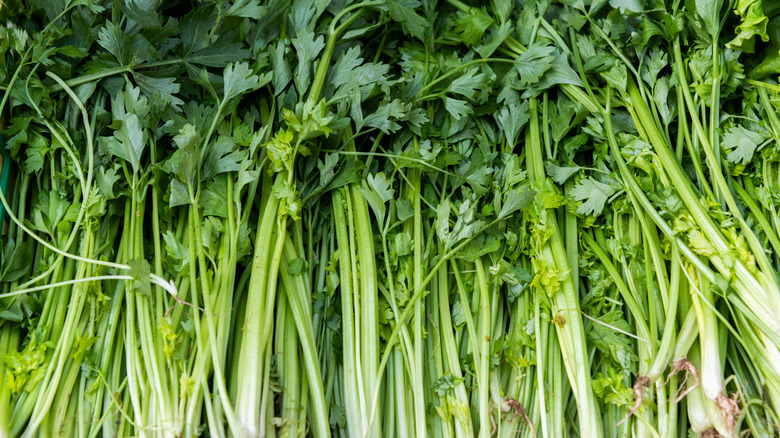 pile of freshy celery in a shop