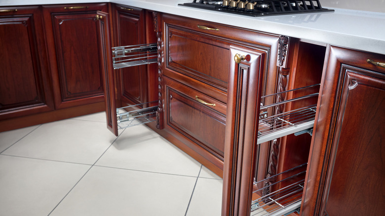 https://www.housedigest.com/img/gallery/20-hacks-to-secretly-add-more-storage-to-your-kitchen/discrete-pullout-spice-rack-1657530892.jpg