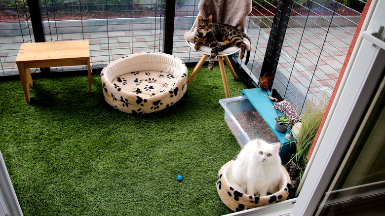 fake grass in catio