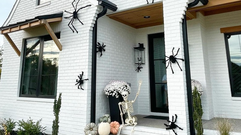Fuzzy spiders on house side