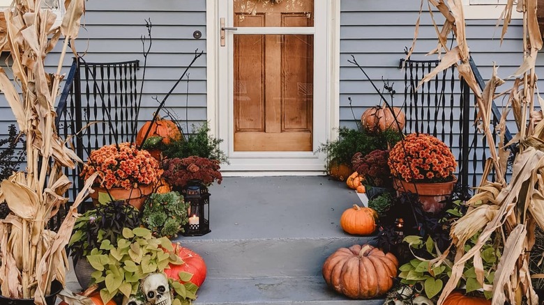 Blue house and orange pumpkins