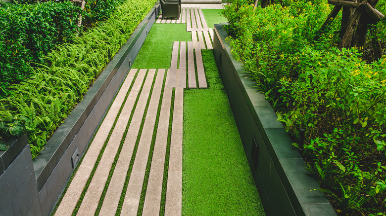 wooden walkway lush tropical garden