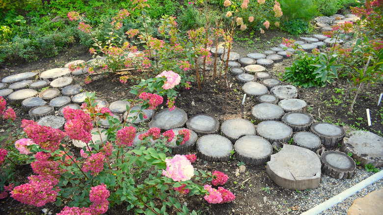 creative design of wooden pathway