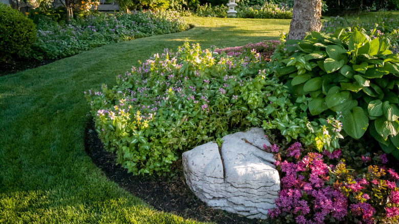 Strips of grass separate wide plantings of ground cover plants