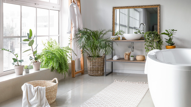 bathroom with house plants