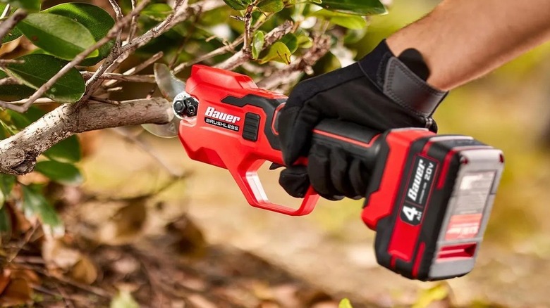 Person using a cordless pruning tool