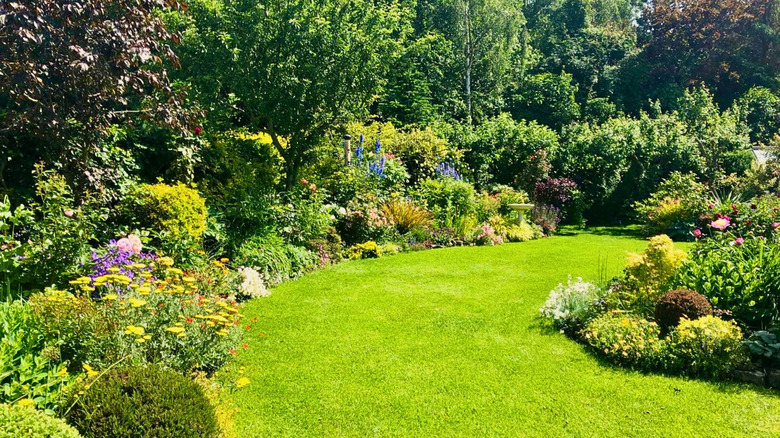 A thriving, sunny garden full of trees, shrubs, and flowering plants with a lawn.