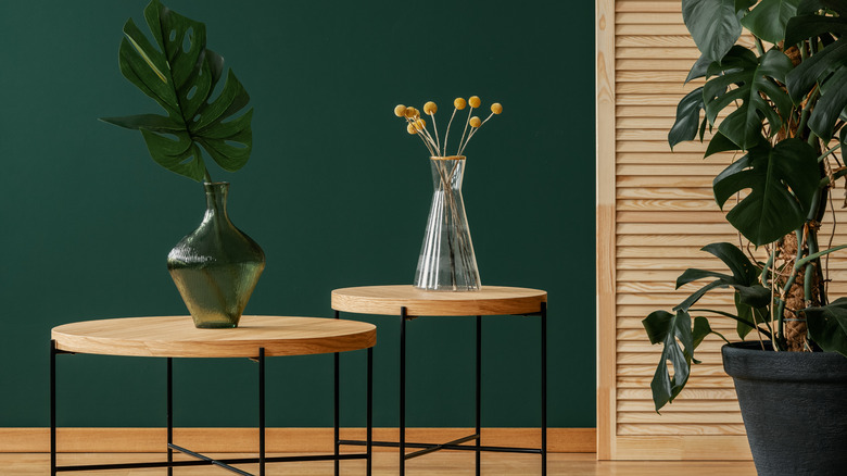 Rich, green and pine living space
