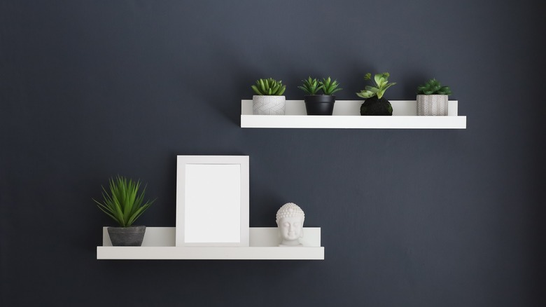 white shelves on a dark wall