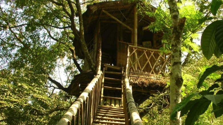 a wooden treehouse built with a wooden ladder