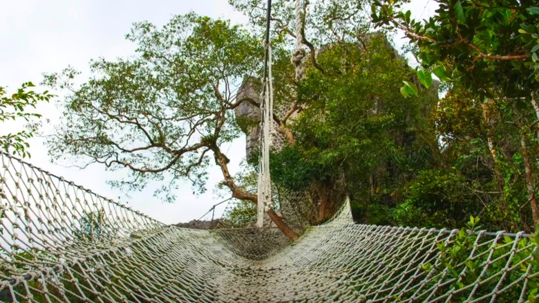 a bottom up view of a climbing net