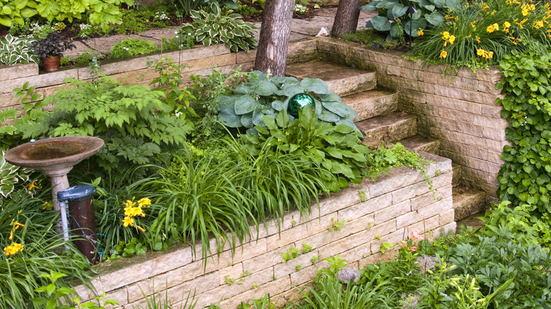 neat terraced garden beds and stairs built using bricks in straight lines