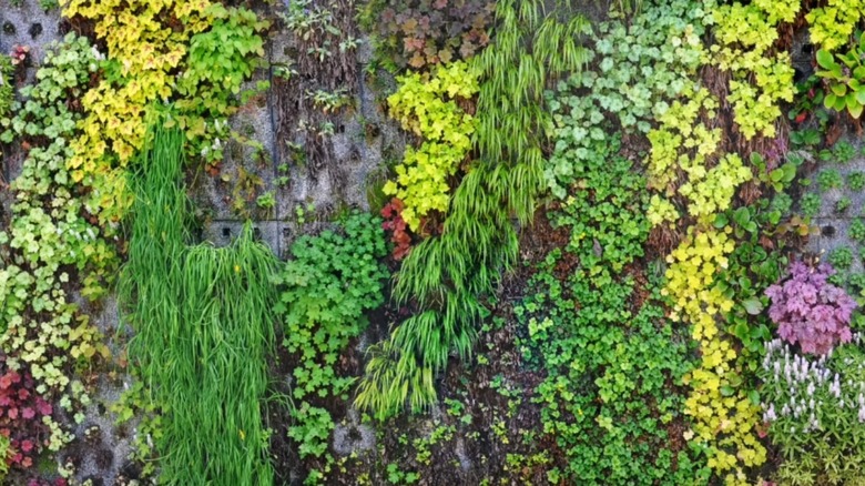 plantable retaining wall bricks create a retaining wall that allows plants to grow