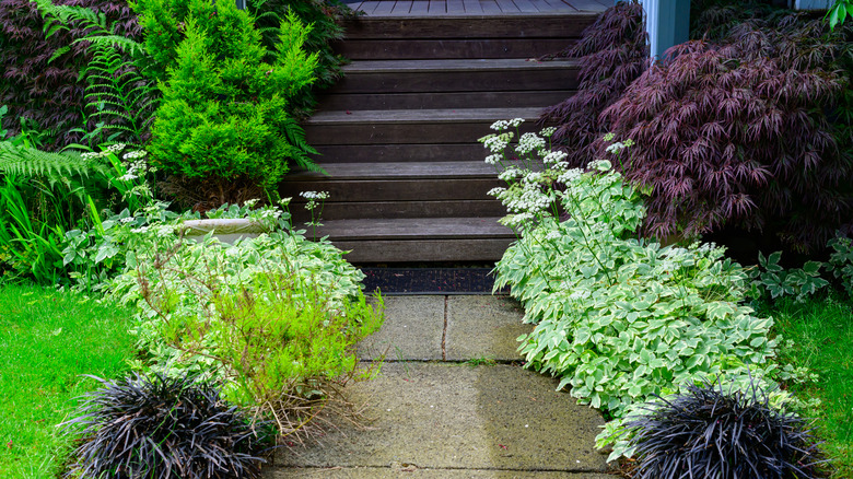 stairway constructed from dark wooden slats