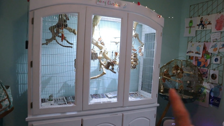 an old kitchen hutch turned into a bird cage