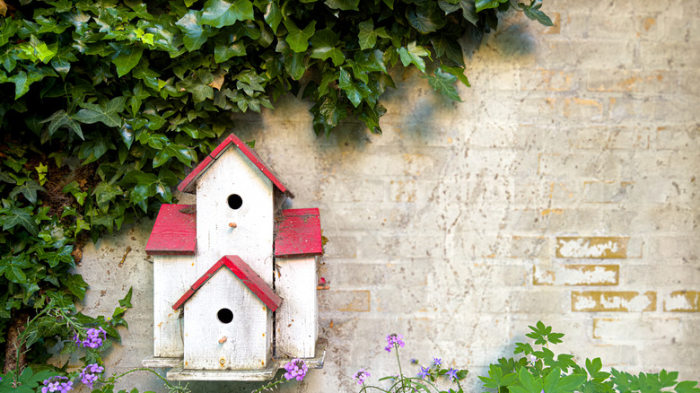 a charming bird house nestled against a wall that protects it from the elements