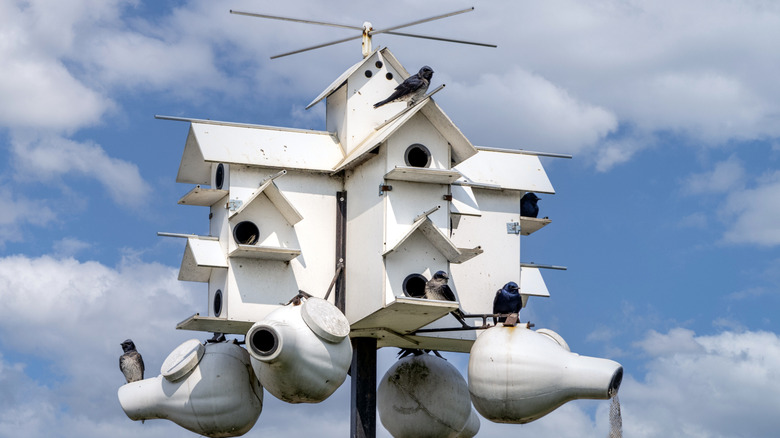 a purple martin condo style of birdhouse
