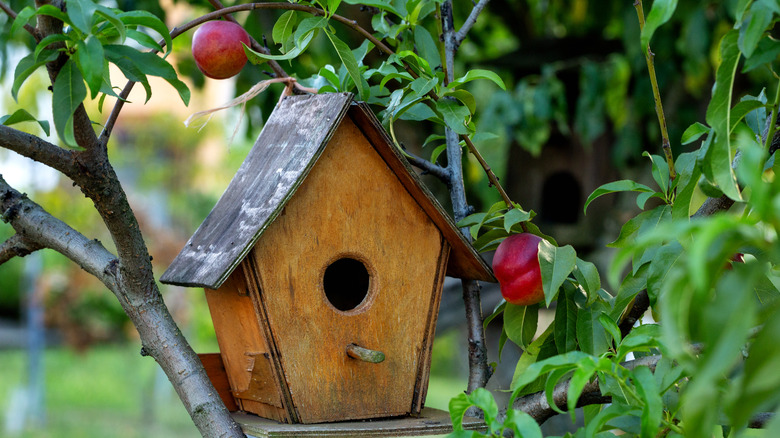 a wooden bird house installed in the midst of greenery