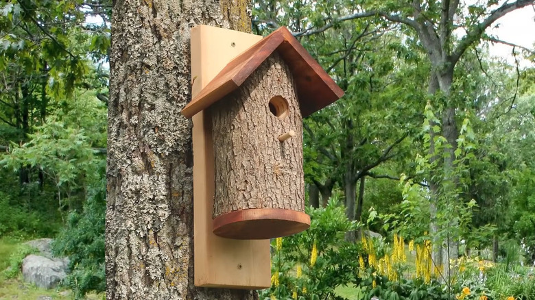a birdhouse made from a hollowed out log can attract certain species of birds