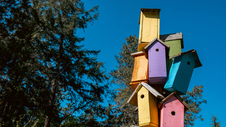 whimsical bird houses in a variety of colors stacked on a single pole