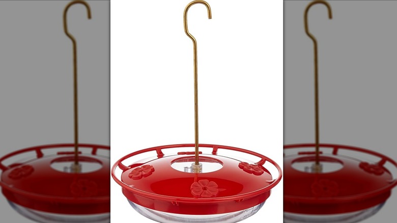 Hummingbird feeder with simple design