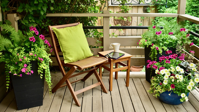 A small patio with many types of plants
