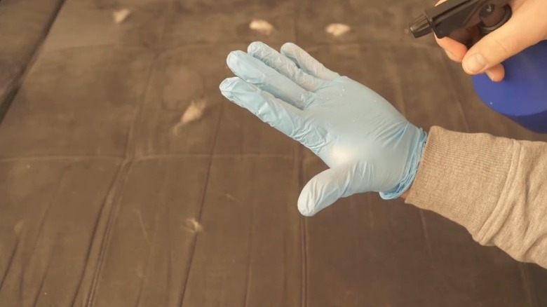 Spraying rubber glove with water to remove pet hair
