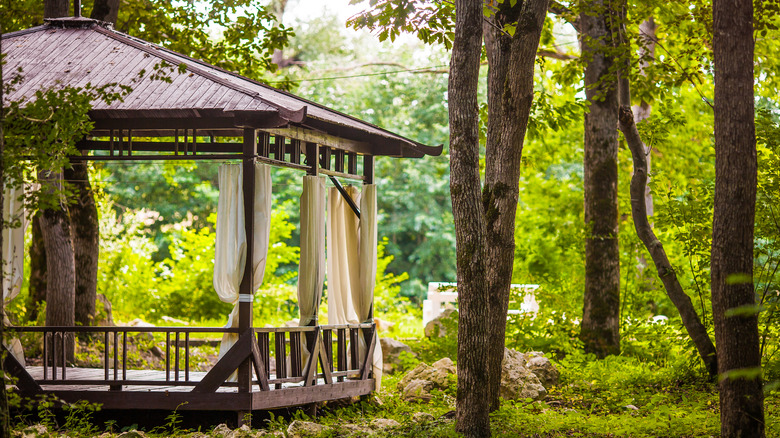 wooden gazebo in forest